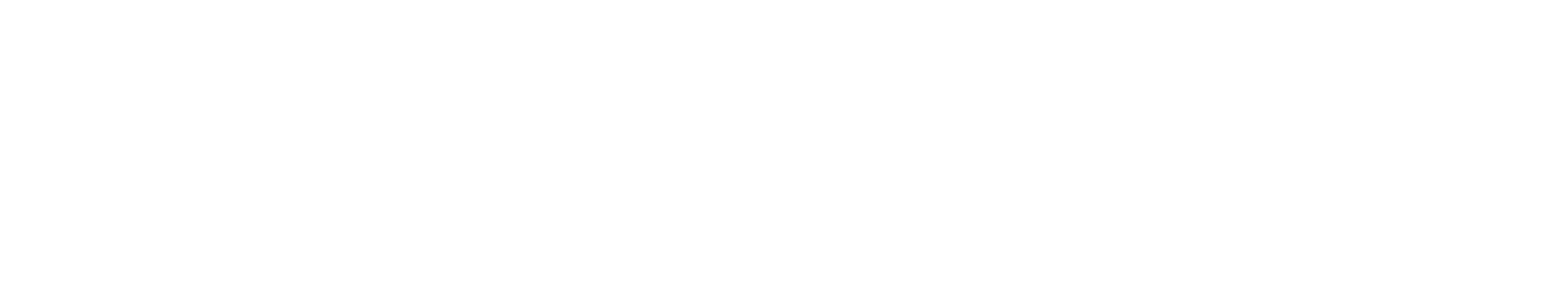 Sophisto
